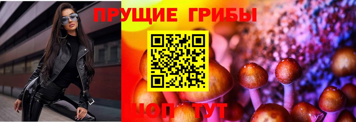 Семёнов  Галлюциногенные грибы GOLDEN TEACHER  как найти закладки  Вход с VPN  Псилоцибиновые грибы прущие грибы 